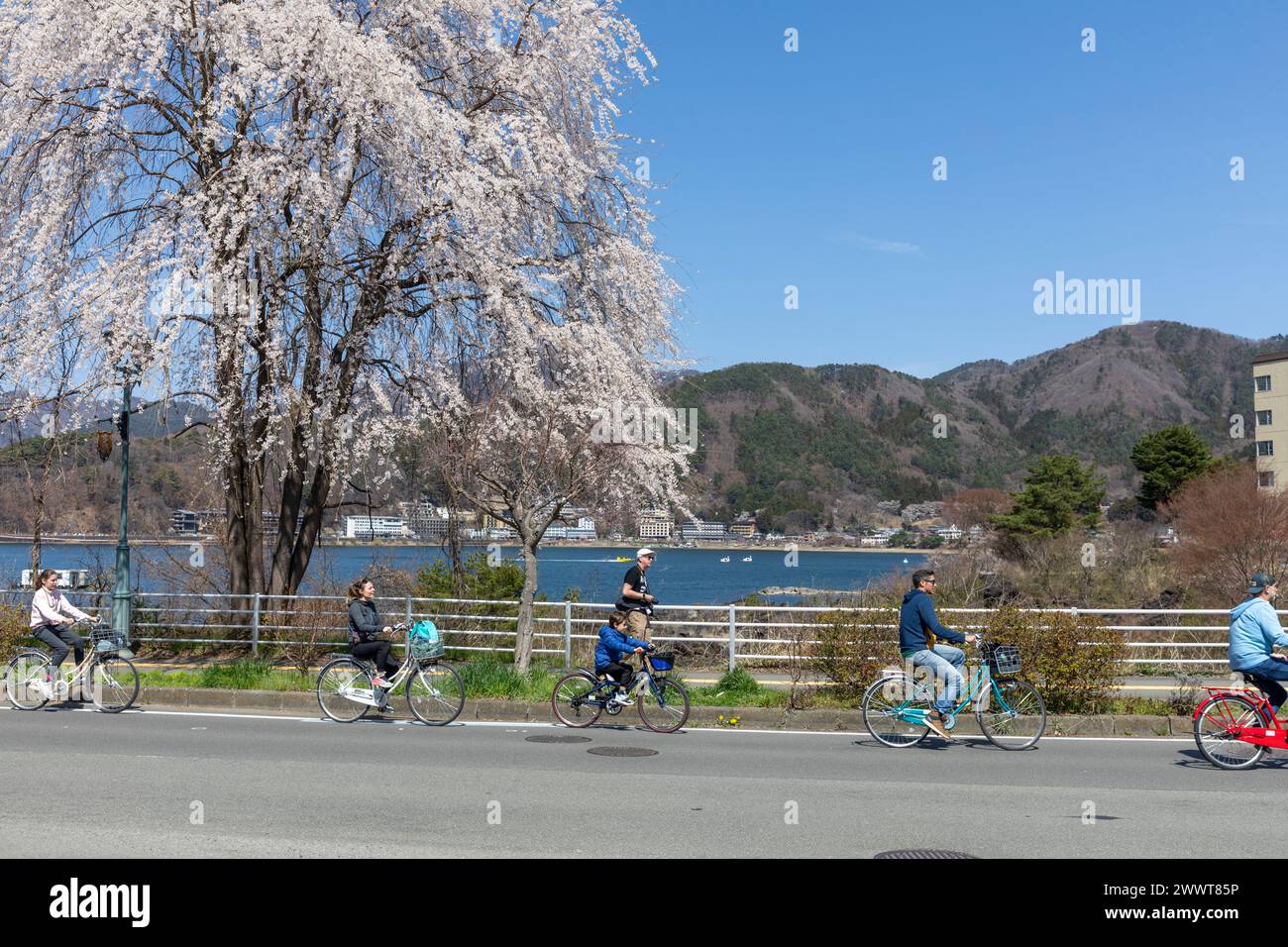 Lago Kawaguchiko a Fujikawaguchiko Giappone, madre e padre in bicicletta intorno al lago nella regione del Monte Fuji cinque laghi, Giappone, Asia, 2023 Foto Stock