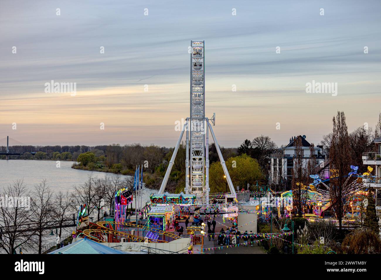 DAS Riesenrad BELLA VISTA am Rheinufer von Beuel ist die Hauptattraktion der Beueler Osterkirmes, die noch bis zum 2. April ihre Gäste begrüßt. DAS 40 Meter hohe Fahrgeschäft wird darüber hinaus bis voraussichtlich 20. Mai als ein temporäres Wahrzeichen erhalten bleiben. 25.03.2024 Bonn Beuel NRW Deutschland *** la ruota panoramica BELLA VISTA sulle rive del Reno a Beuel è la principale attrazione della Fiera di Pasqua di Beuel, che accoglierà gli ospiti fino al 2 aprile la corsa alta 40 metri rimarrà un punto di riferimento temporaneo fino al 20 maggio 25 03 2024 Bonn Beuel NRW Germania Copyright: Foto Stock