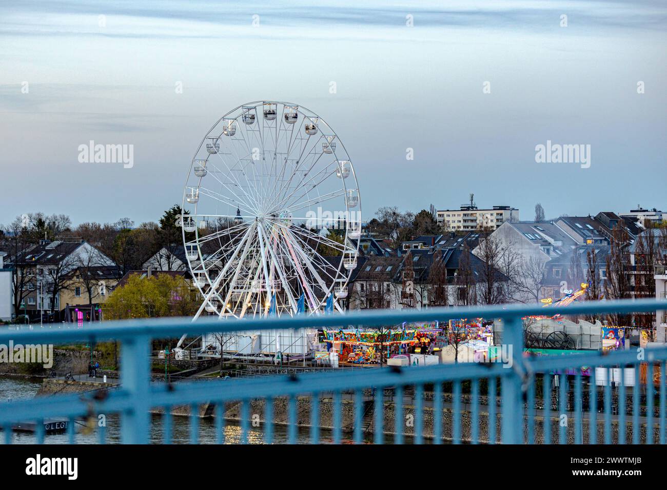 DAS Riesenrad BELLA VISTA am Rheinufer von Beuel ist die Hauptattraktion der Beueler Osterkirmes, die noch bis zum 2. April ihre Gäste begrüßt. DAS 40 Meter hohe Fahrgeschäft wird darüber hinaus bis voraussichtlich 20. Mai als ein temporäres Wahrzeichen erhalten bleiben. 25.03.2024 Bonn Beuel NRW Deutschland *** la ruota panoramica BELLA VISTA sulle rive del Reno a Beuel è la principale attrazione della Fiera di Pasqua di Beuel, che accoglierà gli ospiti fino al 2 aprile la corsa alta 40 metri rimarrà un punto di riferimento temporaneo fino al 20 maggio 25 03 2024 Bonn Beuel NRW Germania Copyright: Foto Stock