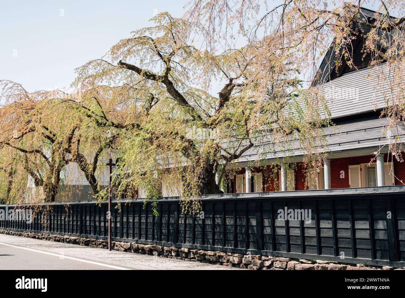 La via della residenza dei samurai di Kakunodate ad Akita, in Giappone Foto Stock