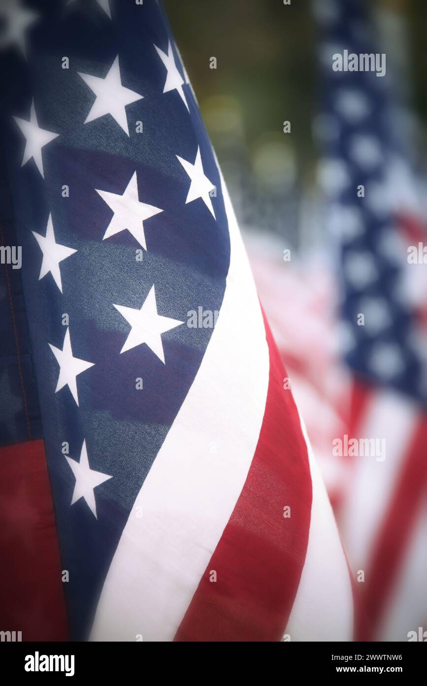 Primo piano di una bandiera americana di fila. Messa a fuoco selettiva. Memorial Day, 4 luglio, e Veterans Day concetto o background. Foto Stock