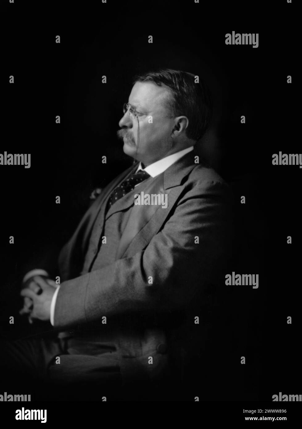 Ritratto Theodore Roosevelt, altissima risoluzione - foto di Harris & Ewing Foto Stock