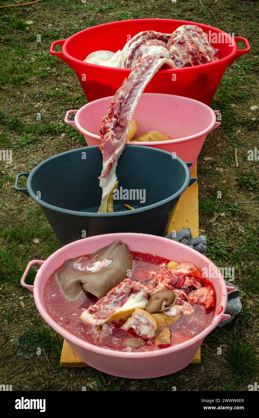 piatti con pezzi di carne e frattaglie di maiale, preparati per salare o bollire fino a diventare salsicce e altri piatti Foto Stock