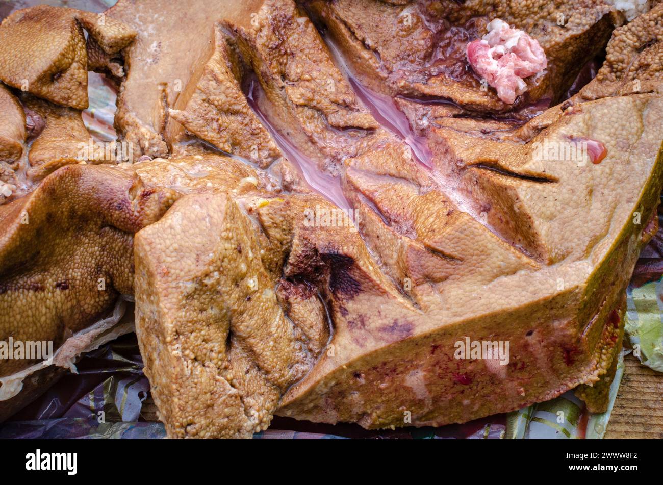 Fegato bollito, per la preparazione di salsicce con fegato, ricetta tradizionale dell'Europa orientale e dei paesi germanici Foto Stock