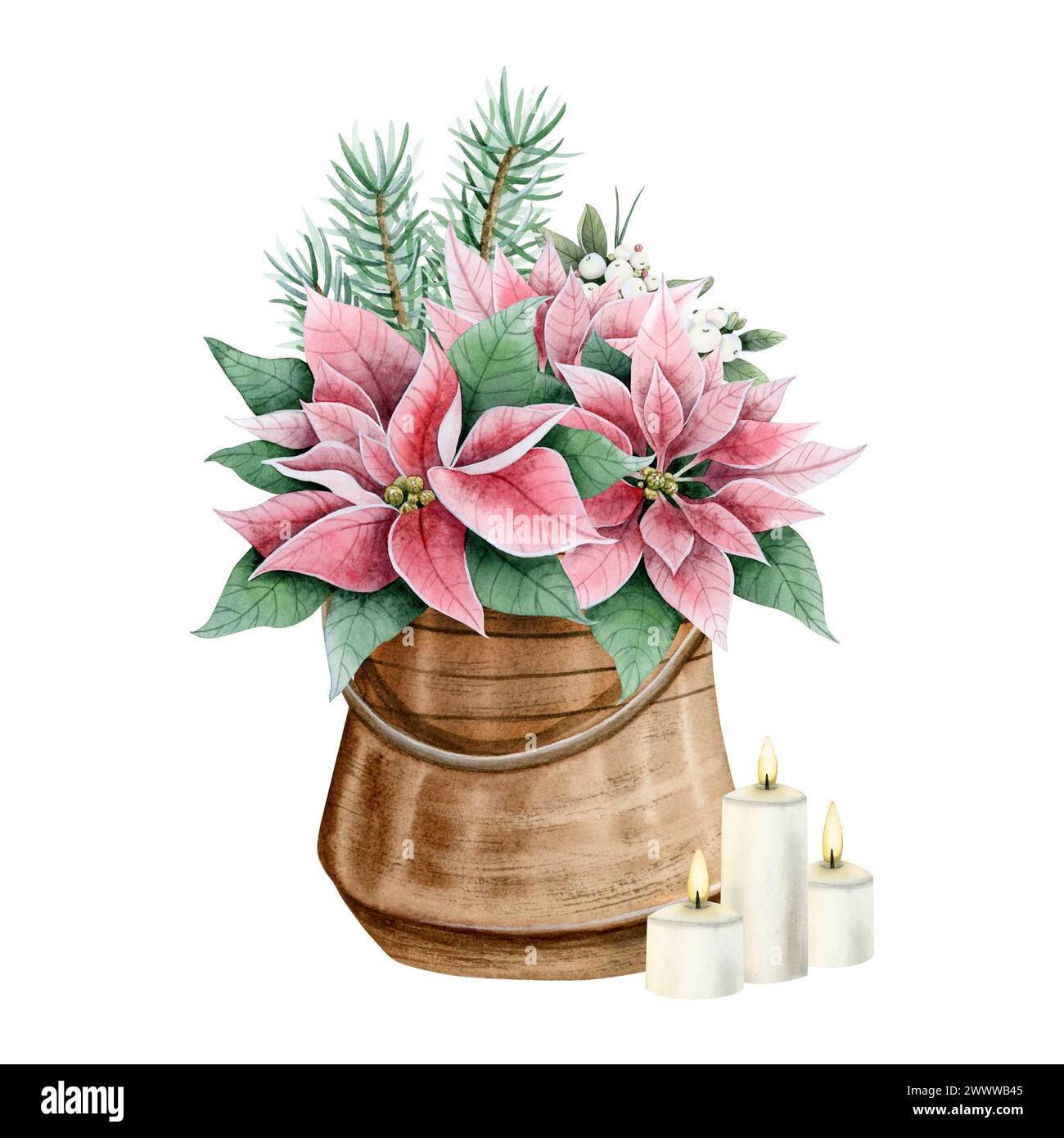 Fiori di Natale rosa poinsettia in vaso di metallo con candele in fiamme e rami d'albero illustrazione acquerello Foto Stock