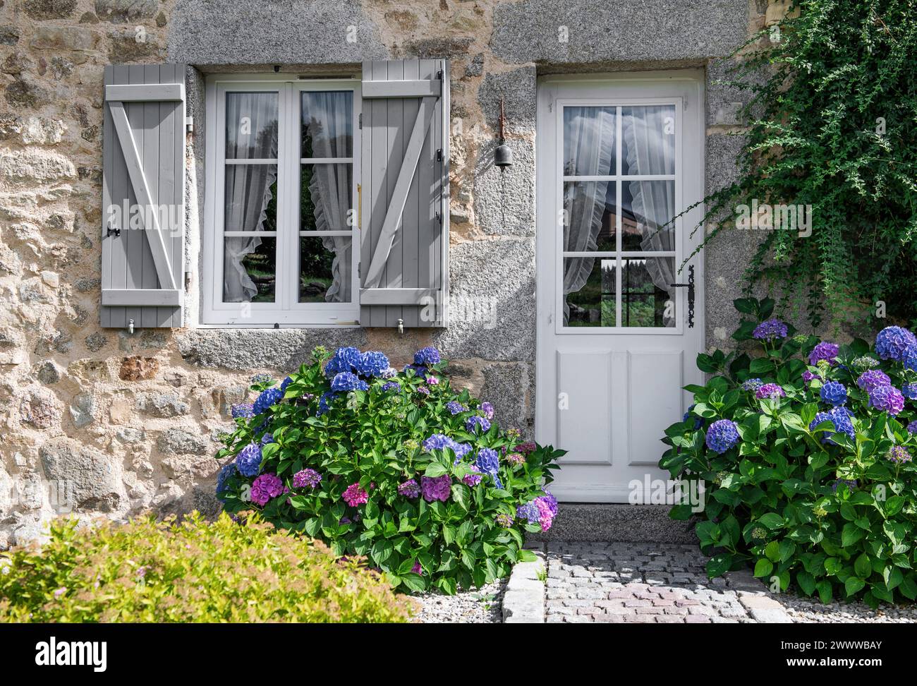 facciata della casa in pietra con porta e finestra ornate da un'ortensia fiorita in giardino Foto Stock