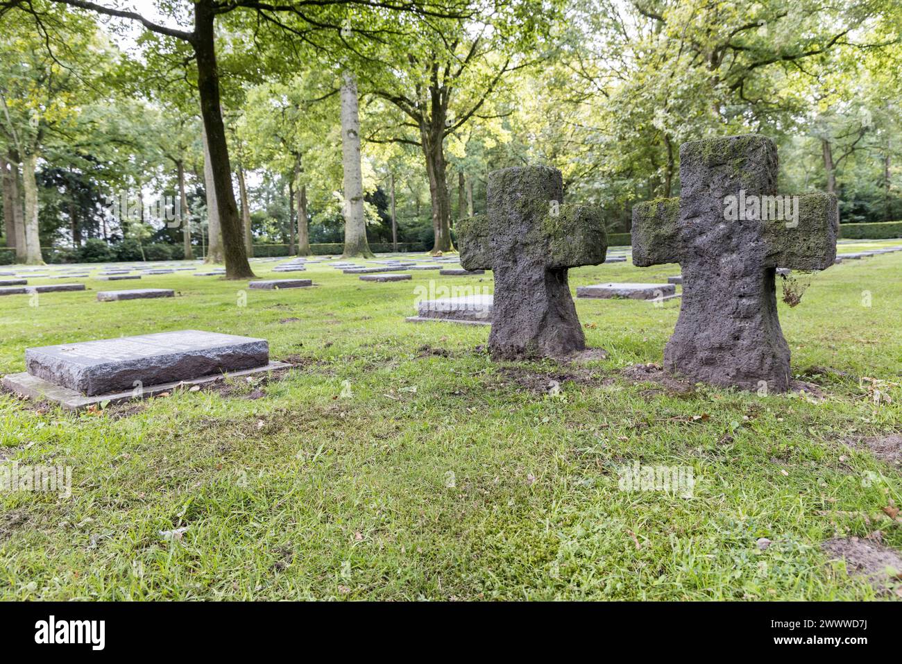 Cimitero militare tedesco, Vladslo, Diksmuide, Fiandre occidentali, Belgio Foto Stock