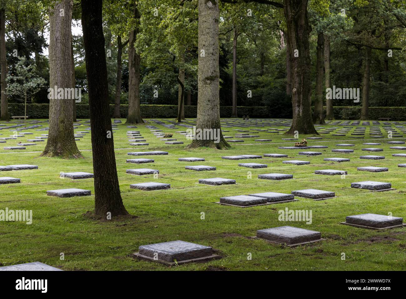 Cimitero militare tedesco, Vladslo, Diksmuide, Fiandre occidentali, Belgio Foto Stock