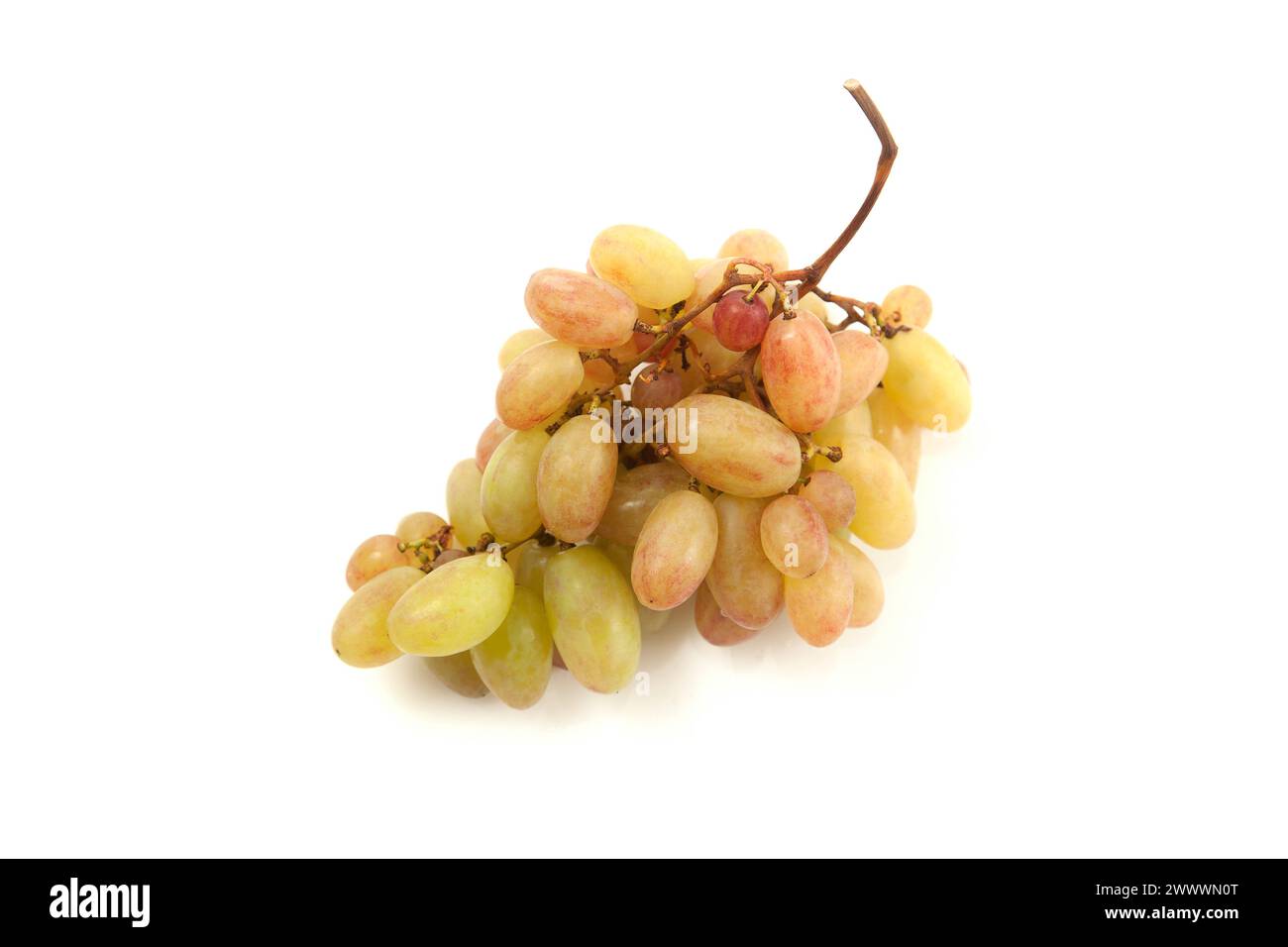 Grappolo di uva da vino rosa con ombra soffice isolata su fondo bianco. Foto Stock