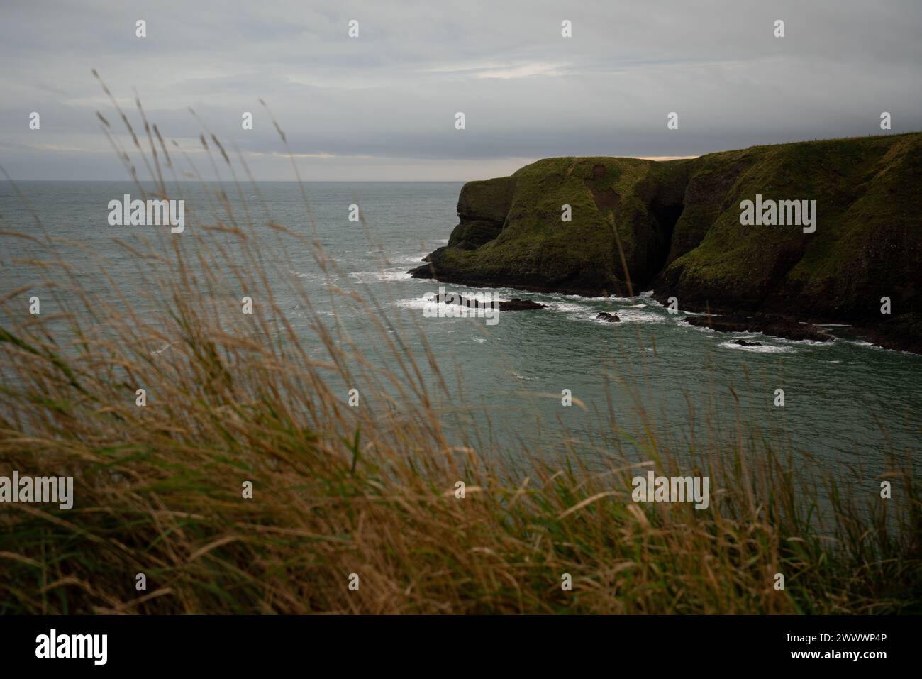 Vista sulla costa vicino al castello di Dunnottar nella Scozia nord-orientale Foto Stock