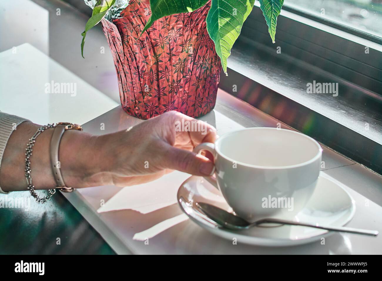 Una mano delicata tiene una tazza di caffè bianco vicino a una finestra soleggiata, con una pianta in un vaso rosso decorativo che evoca un momento tranquillo e riflettente. Foto Stock