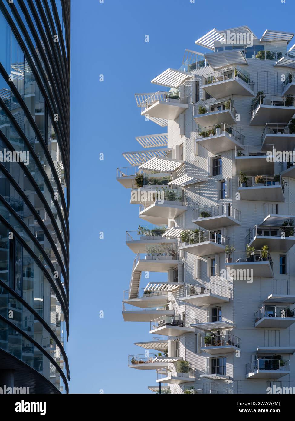 Vista verticale dell'architettura moderna dell'edificio di appartamenti l'Arbre Blanc con riflesso nelle finestre della biblioteca universitaria Richter Foto Stock