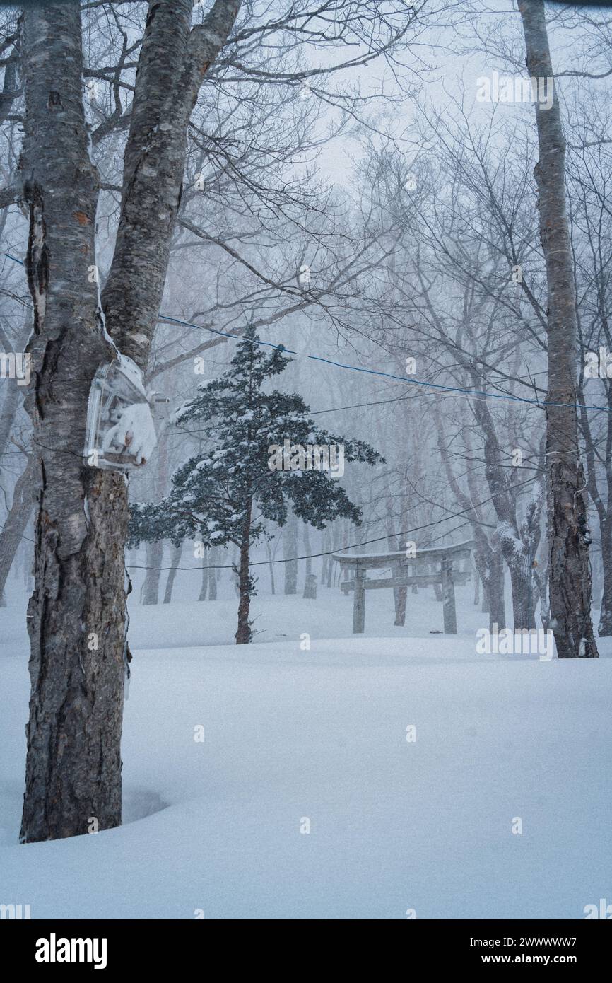 Un paesaggio invernale di un parco divertimenti sul mare deserto a Hokkaido, Otaru. Foto Stock