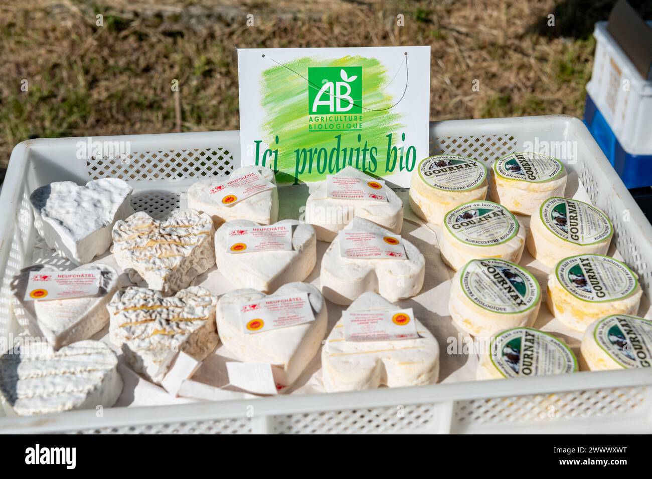 Mercato agricolo a Dampierre-en-Bray (Francia settentrionale): Agricoltura biologica, Neufchatel e Gournay produzione di formaggio biologico presso l'azienda di Hyaunet, Direct S Foto Stock
