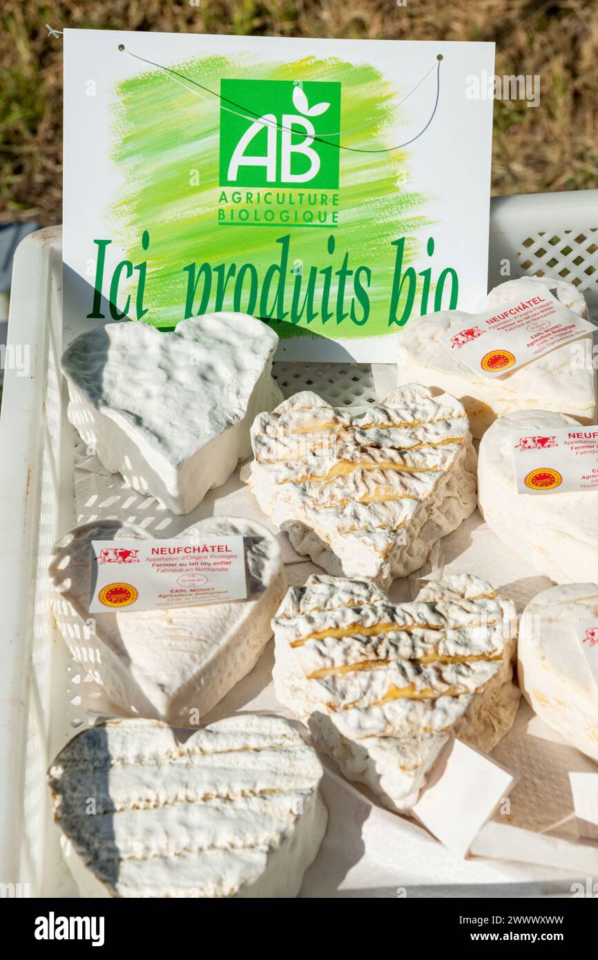 Mercato agricolo a Dampierre-en-Bray (Francia settentrionale): Agricoltura biologica, Neufchatel e Gournay produzione di formaggio biologico presso l'azienda di Hyaunet, Direct S Foto Stock