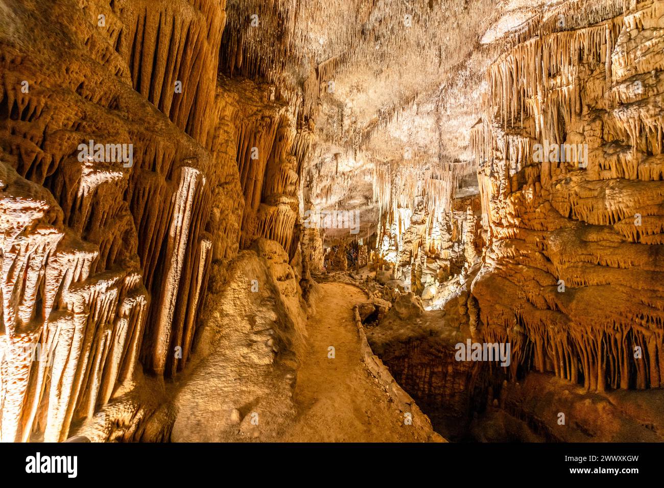 Fantastiche foto delle grotte Drach a Maiorca, Spagna, Europa Foto Stock