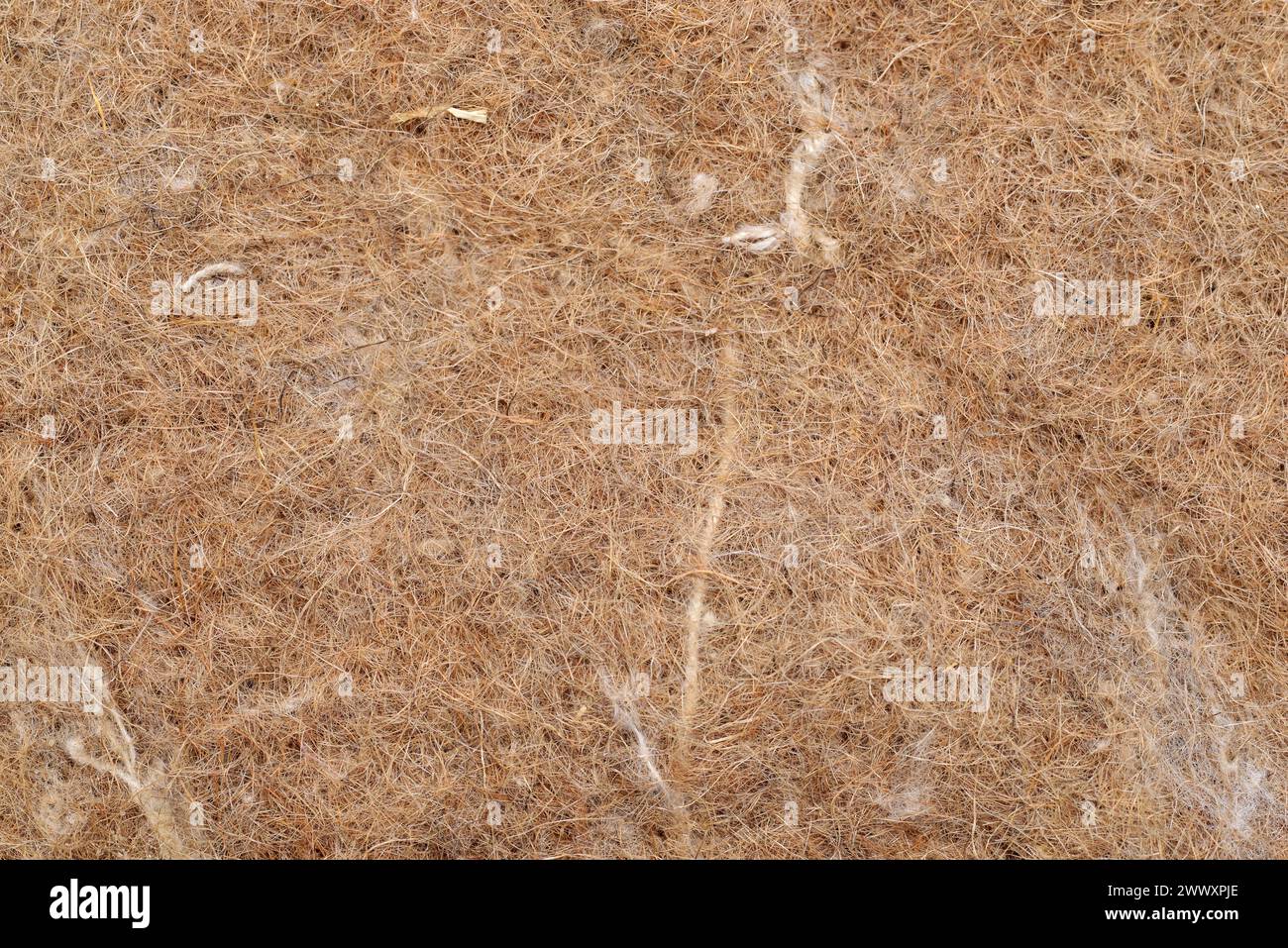 fibre di canapa industriali e naturali, intrecciate in un'alternativa biodegradabile e compostabile al terreno coltivato Foto Stock