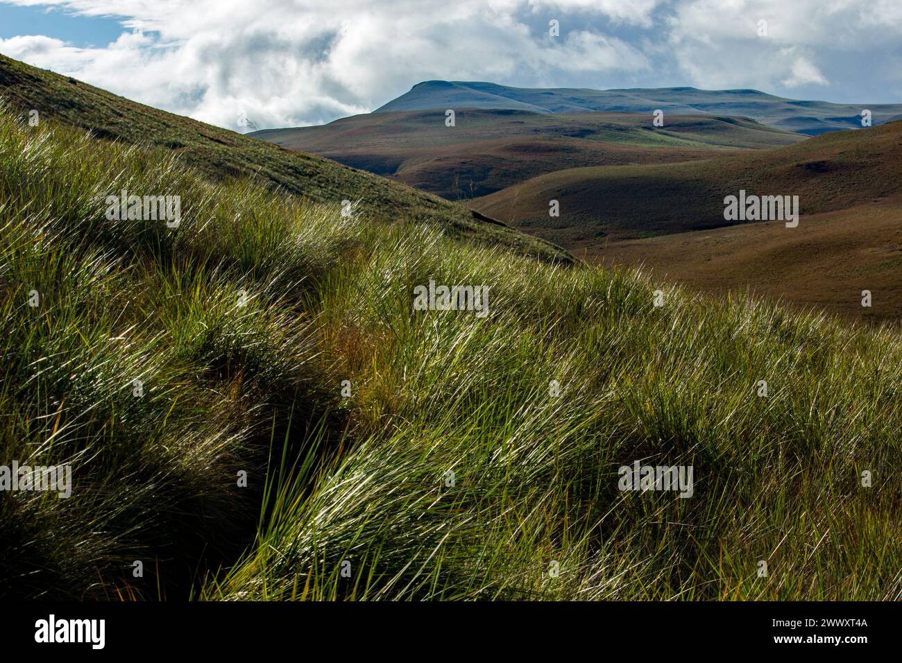 Ammira le alte montagne ricoperte di erba alpina delle montagne Drakensberg in Sud Africa, con nuvole di tempesta che iniziano a riunirsi Foto Stock