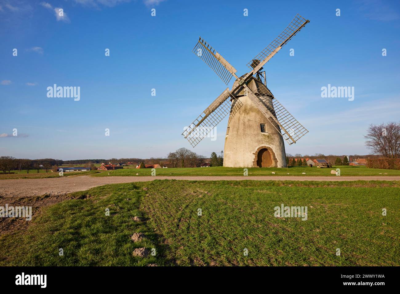 Il mulino a vento Auf der Hoechte sotto un cielo blu quasi nuvoloso fa parte della Westphalian Mill Road a Hille, Muehlenkreis Minden-Luebbecke, nord Foto Stock