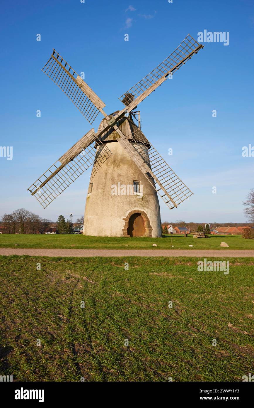Il mulino a vento Auf der Hoechte sotto un cielo azzurro senza nuvole fa parte della Westphalian Mill Road a Hille, Muehlenkreis Minden-Luebbecke, nord Foto Stock