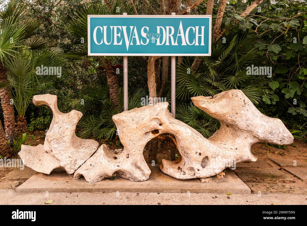 Grotte di drach a Porto Cristo, Maiorca, Spagna, Europa Foto Stock