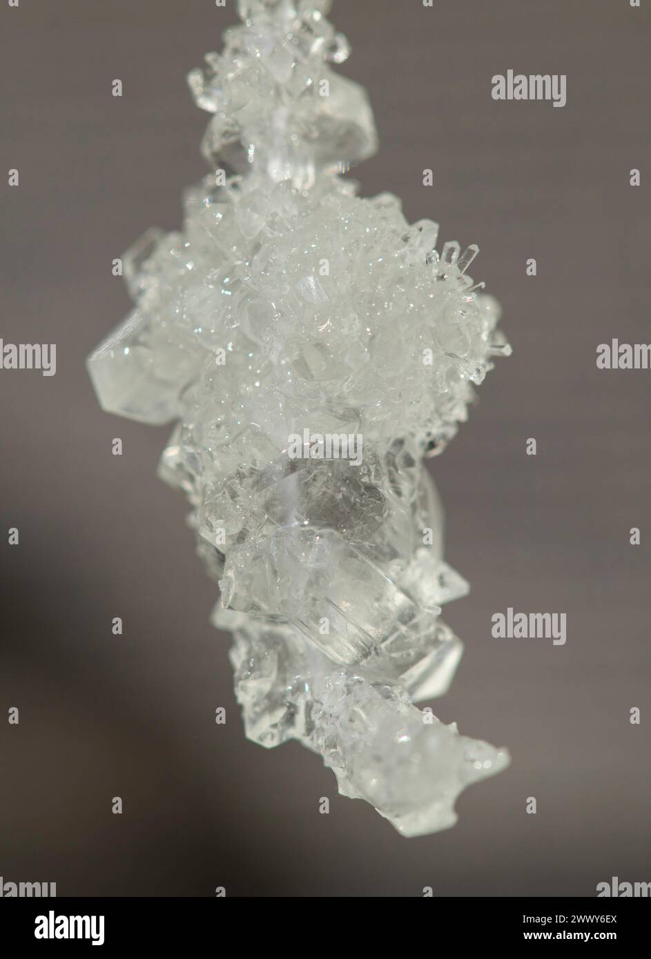 Cristalli cresciuti in una luce brillante. Pirosolfito di potassio. Una sostanza utilizzata nell'industria alimentare. Agente conservatore. Foto Stock