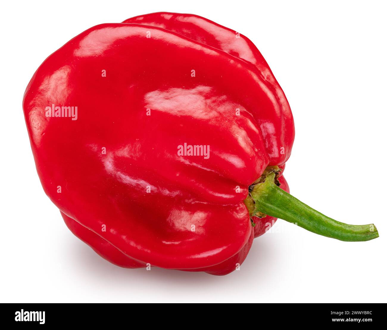 Pepe habanero rosso su sfondo bianco. Il file contiene il percorso di ritaglio. Foto Stock