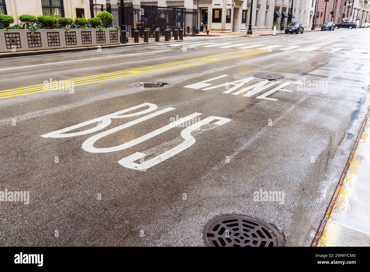 La corsia degli autobus era deserta nel centro di Chicago in un giorno di pioggia Foto Stock