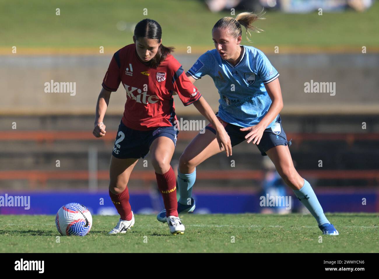 Nanako Sasaki (L) di Adelaide United e Mackenzie Jade Hawkesby (R) di Sydney FC sono visti in azione durante la partita del 21° turno della stagione 2023-24 della Liberty A-League tra Sydney FC e Adelaide United tenutasi al Leichhardt Oval. Punteggio finale; Sydney FC 3:0 Adelaide United. Foto Stock