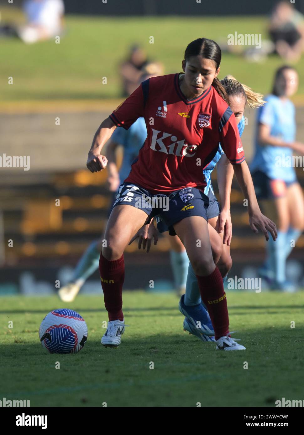 Nanako Sasaki (davanti) dell'Adelaide United e Mackenzie Jade Hawkesby (dietro) del Sydney FC sono visti in azione durante la partita del 21° turno della stagione 2023-24 della Liberty A-League tra Sydney FC e Adelaide United tenutasi al Leichhardt Oval. Punteggio finale; Sydney FC 3:0 Adelaide United. Foto Stock