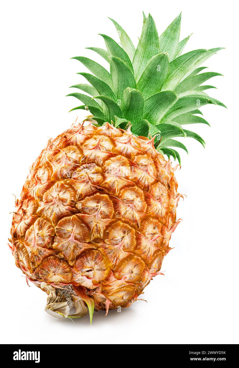Fette di ananas maturo e di ananas isolate su sfondo bianco. Il file contiene il percorso di ritaglio. Foto Stock
