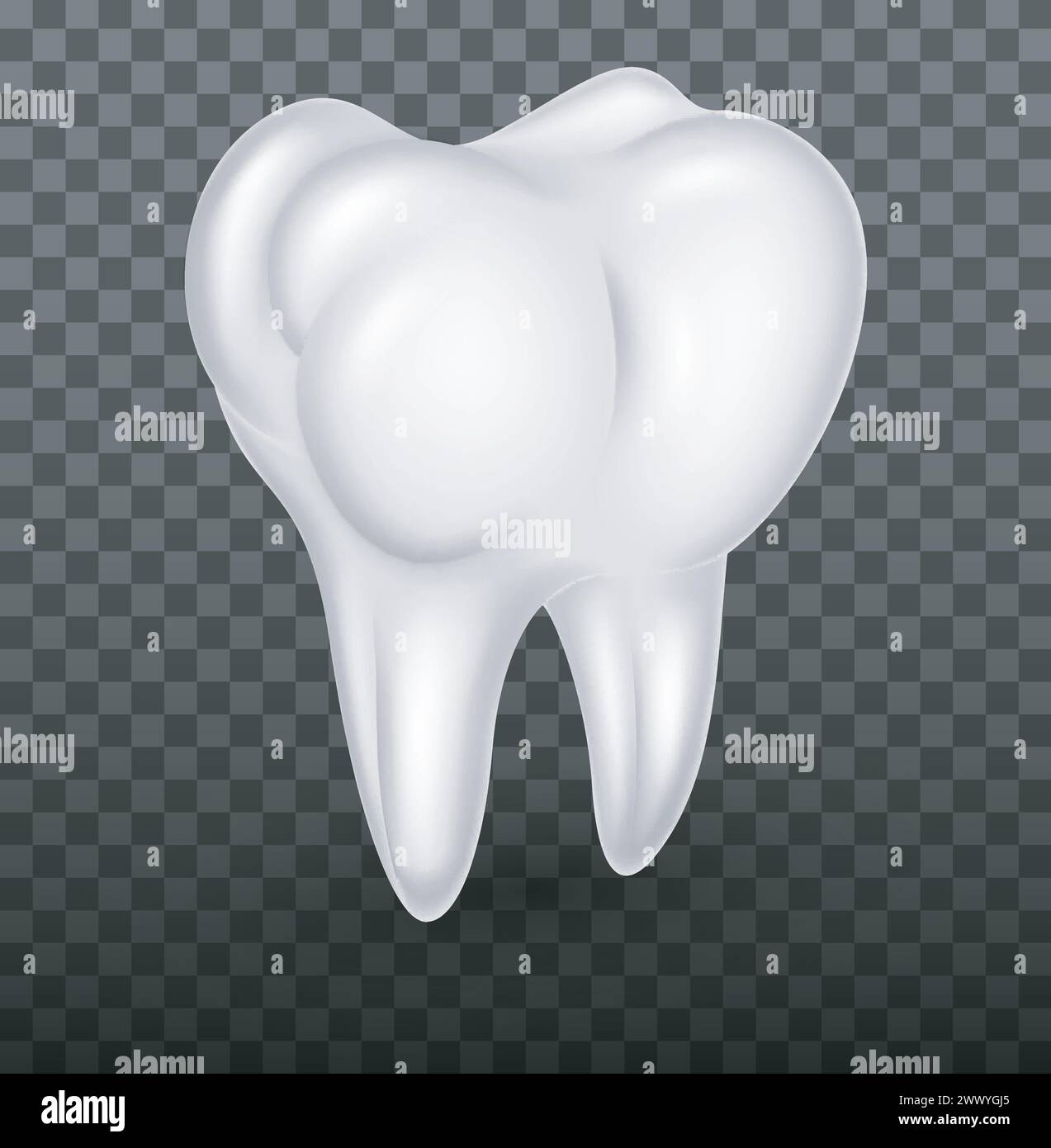 Denti molari umani realistici su sfondo trasparente, illustrazione vettoriale Illustrazione Vettoriale