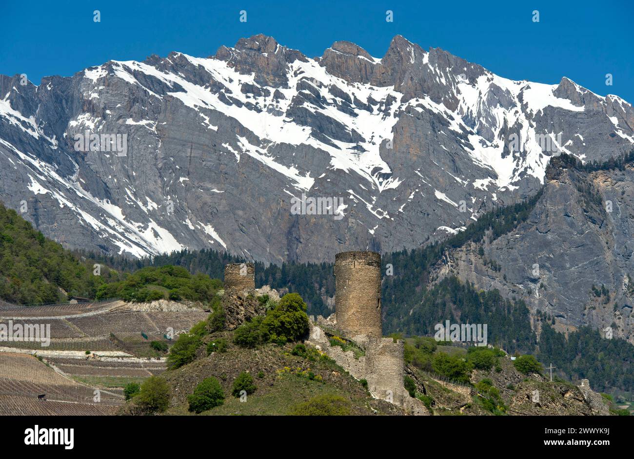 Schlossruine Saillon mit dem Bayard Turm, Saillon, Wallis, Schweiz *** rovine del Castello di Saillon con la Torre Bayard, Saillon, Vallese, Svizzera Foto Stock