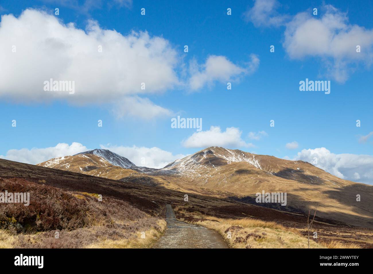 Guardando verso Meall Corranaich e Beinn Ghlas nel gruppo di montagne Ben Lawers. Foto Stock