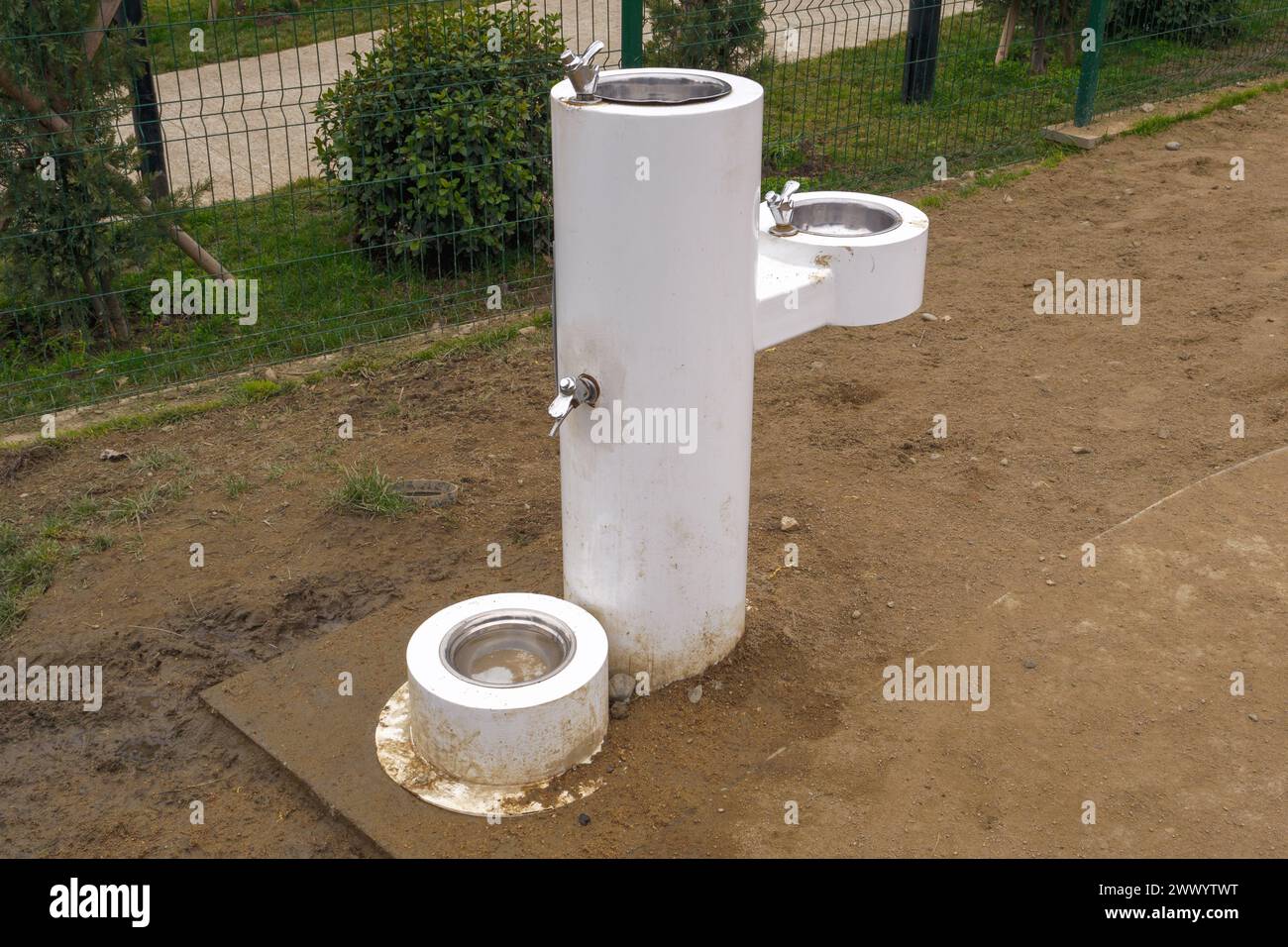 Una fontana a due livelli in cui sono ammessi gli animali domestici, progettata sia per gli esseri umani che per i cani in un parco, che mostra il beccuccio più alto e il bacino accanto a una ciotola inferiore per cani. Foto Stock