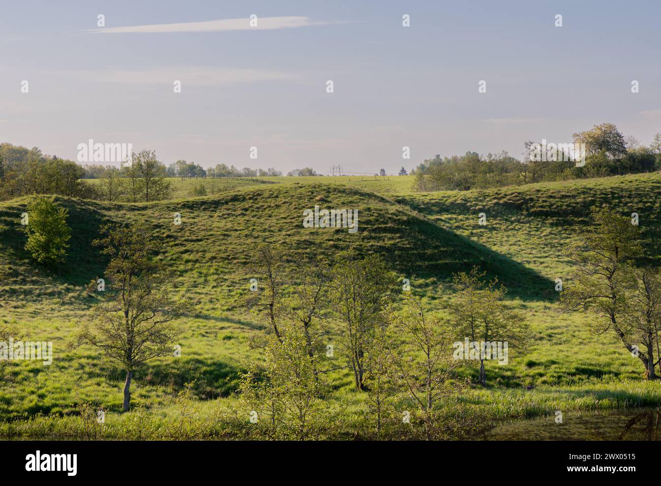 Paesaggio collinare ondulato la mattina presto. Con alberi e pascoli vicino al fiume Gota in Svezia. Foto Stock