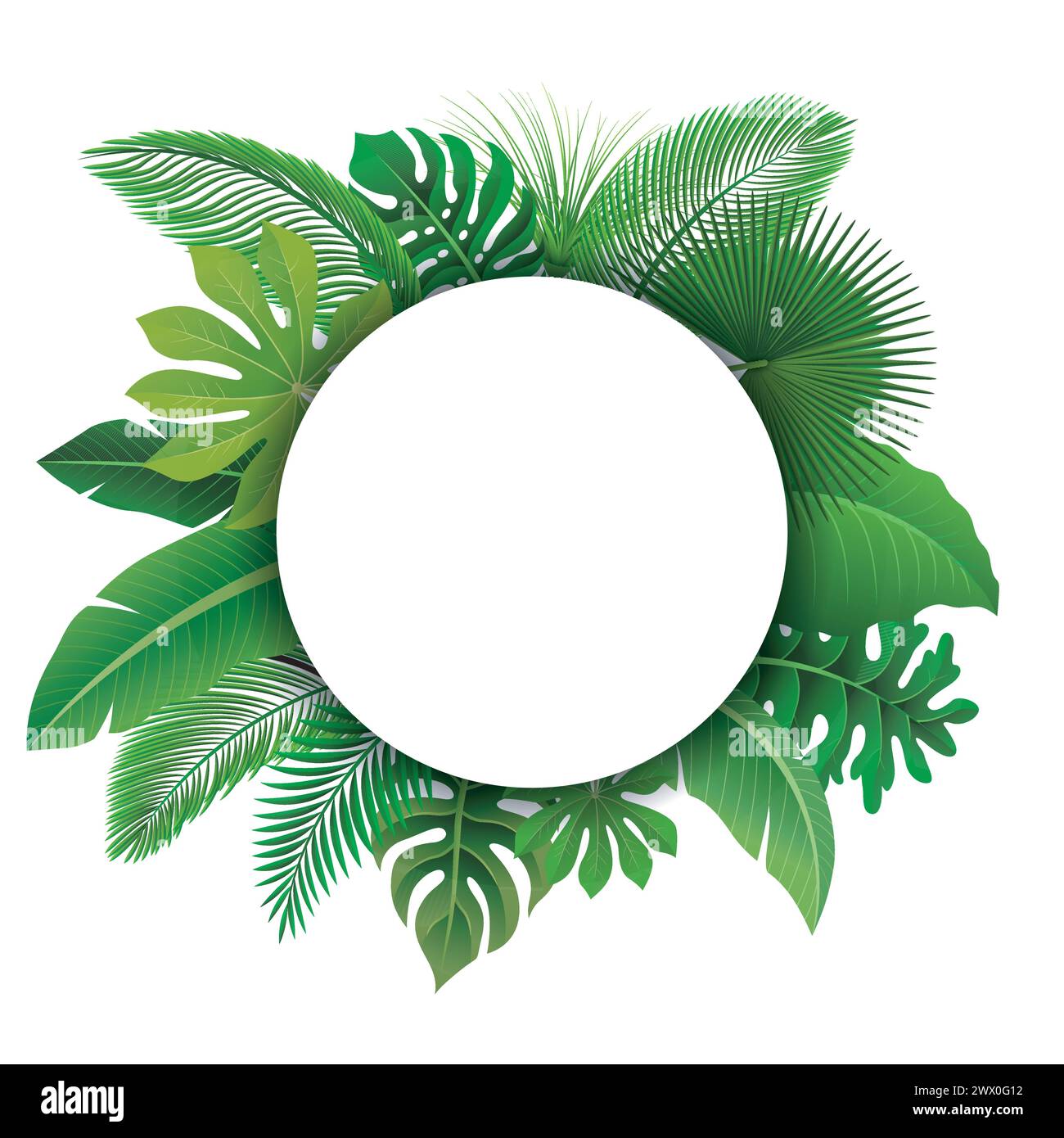 Segno rotondo con spazio testo di foglie tropicali. Adatto per concetto natura, vacanza e vacanza estiva, illustrazione vettoriale Illustrazione Vettoriale