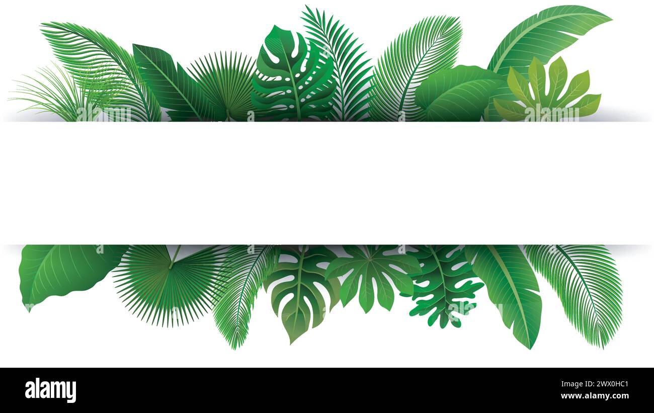 Firma con spazio testo di foglie tropicali. Adatto per concetto natura, vacanza e vacanza estiva, illustrazione vettoriale Illustrazione Vettoriale