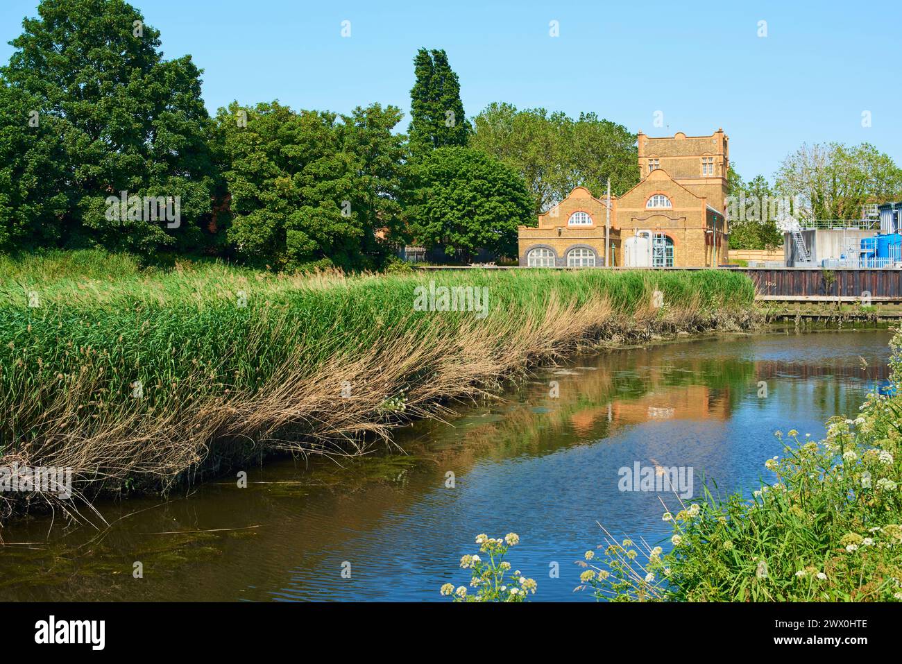 Il fiume Roding vicino a Barking, East London UK, in estate Foto Stock