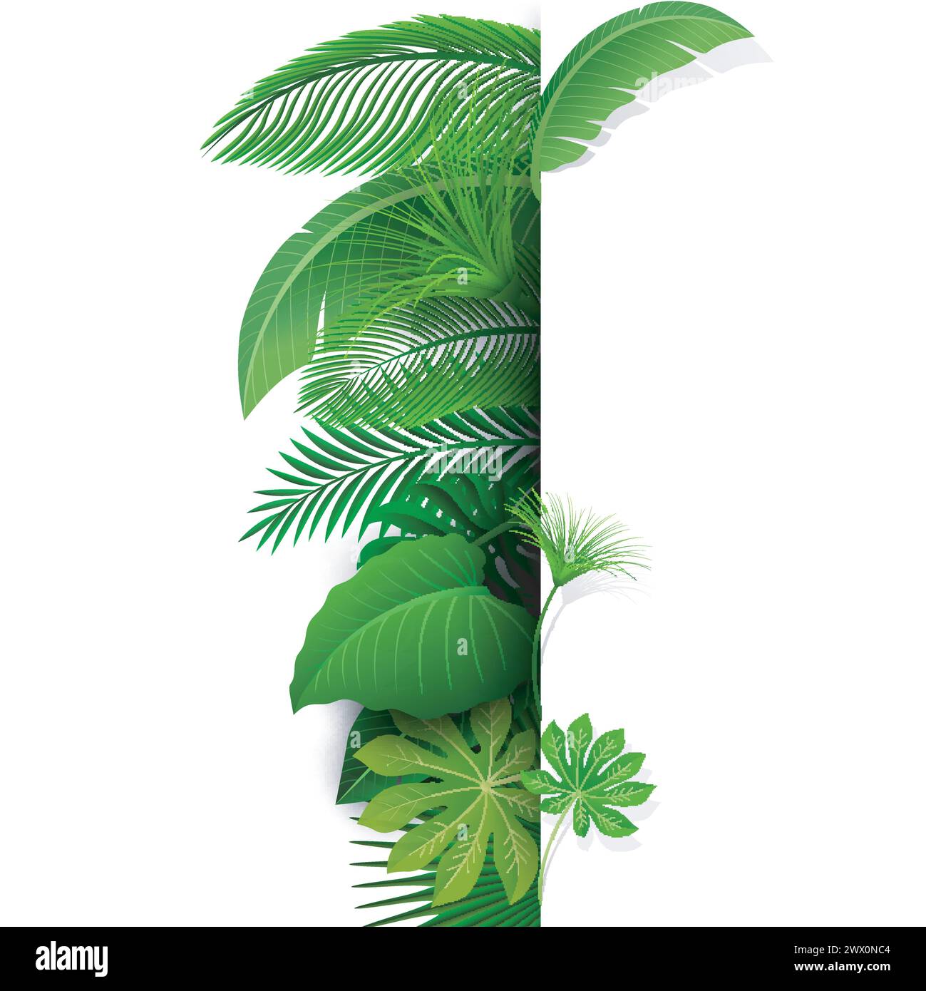 Firma con spazio testo di foglie tropicali. Adatto per concetto natura, vacanza e vacanza estiva, illustrazione vettoriale Illustrazione Vettoriale