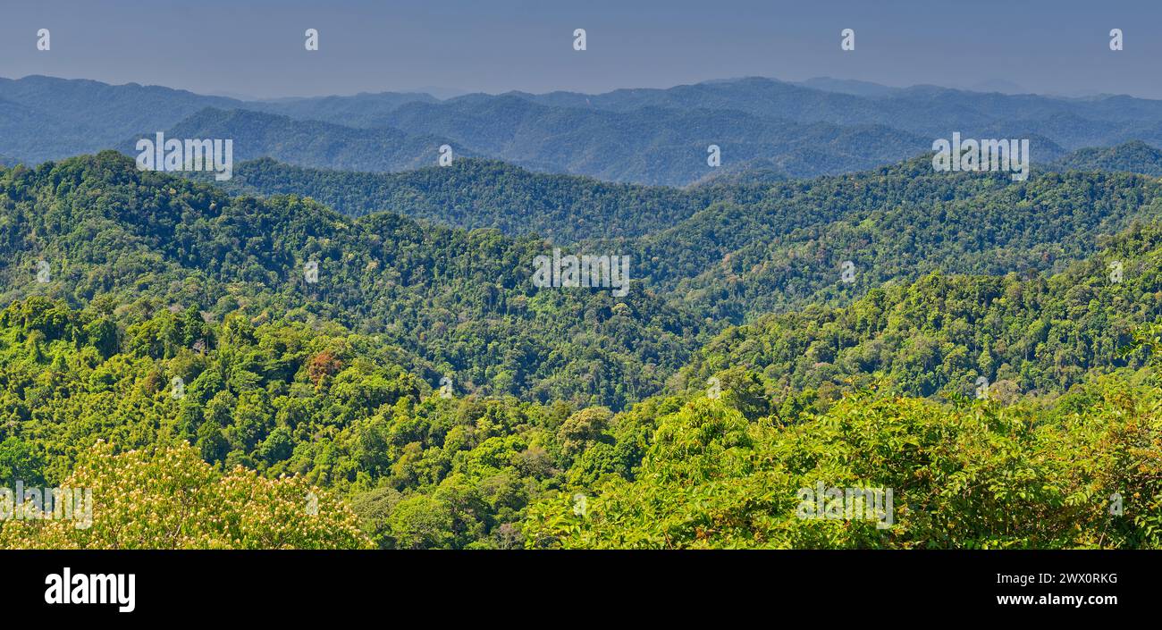 Vista panoramica delle montagne coperte dalla giungla al confine tra Thailandia e Myanmar al punto panoramico di Phenoen Thung, parco nazionale di Kaeng Krachan, Thailandia Foto Stock