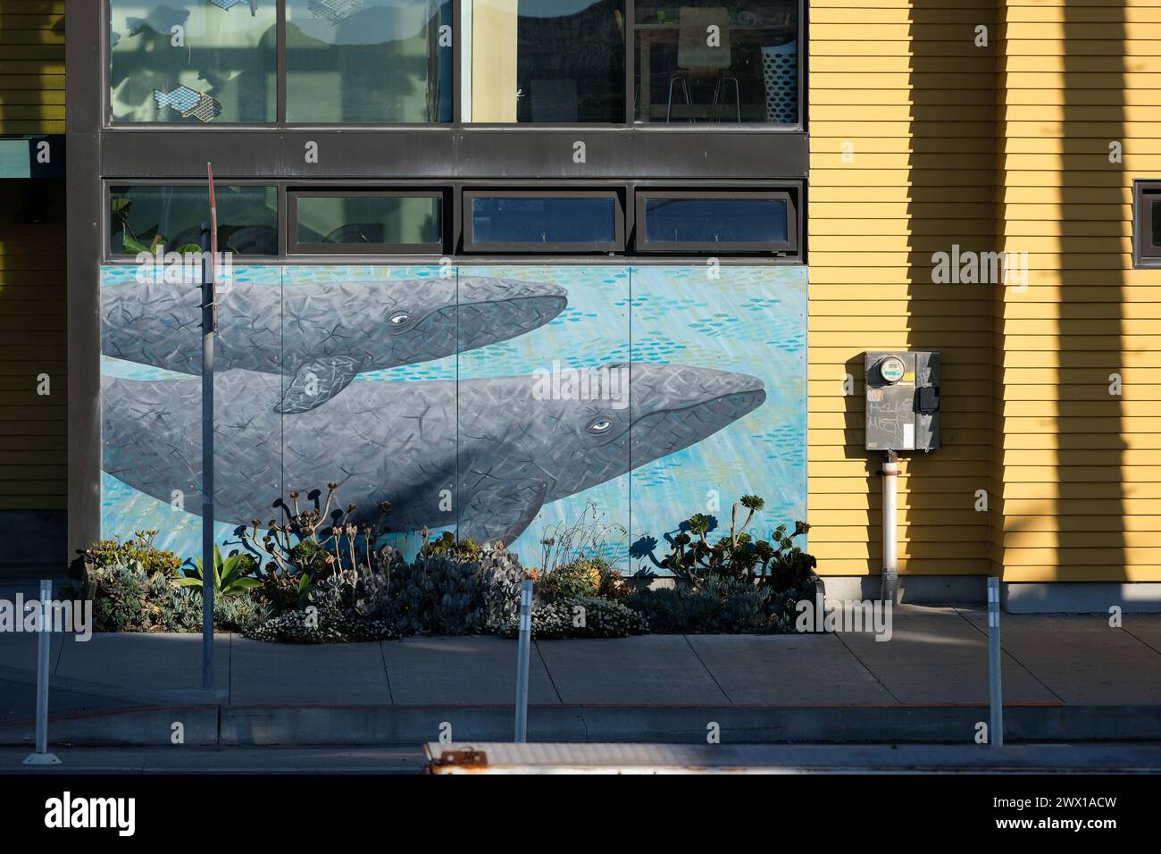 Splendido murale di balene in un edificio vicino a Ocean Beach, San Francisco, California, Stati Uniti. Foto Stock