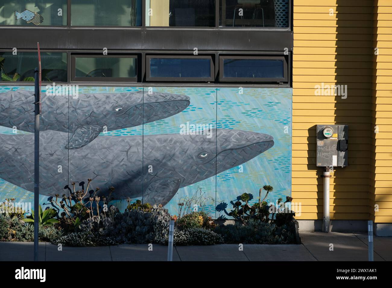 Splendido murale di balene in un edificio vicino a Ocean Beach, San Francisco, California, Stati Uniti. Foto Stock
