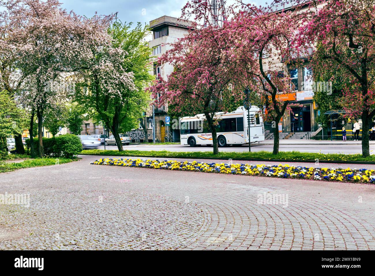 Jaslo, Polonia - 2 maggio 2023: Frammento della città primaverile in fiore. Foto Stock
