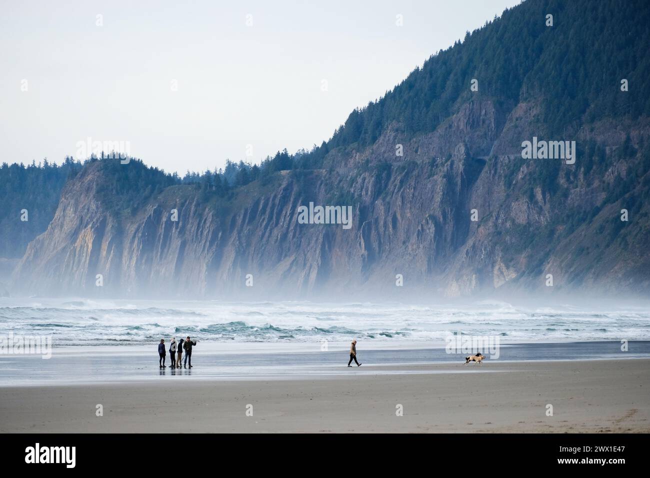 Vista a nord da Neahkahine Beach, Manzanita, Oregon, Pacifico nord-occidentale, Stati Uniti. Foto Stock