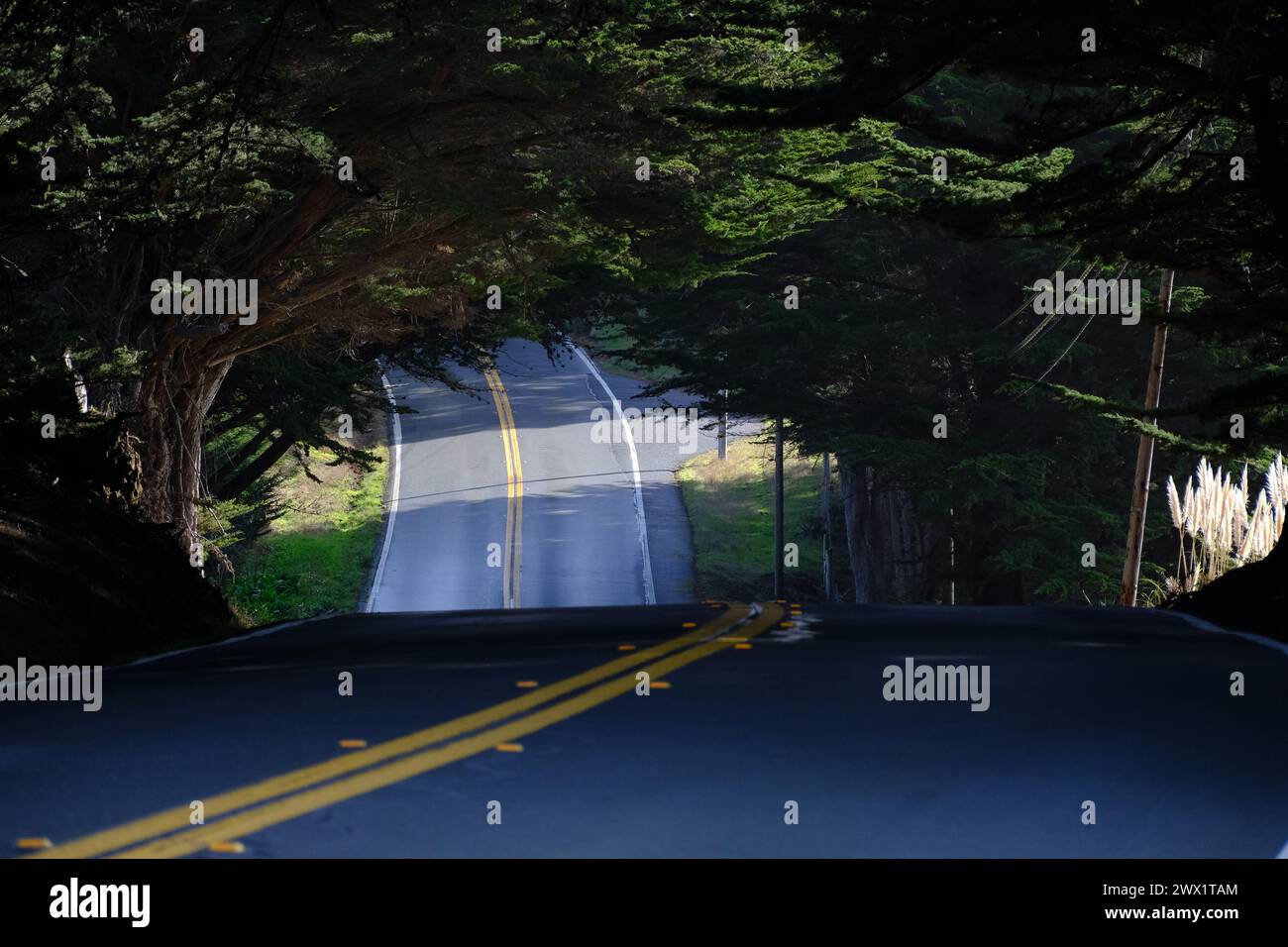Vista panoramica della Route 1, Pacific Coast Highway, California, Stati Uniti. Foto Stock