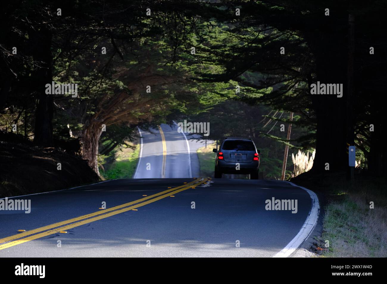 Vista panoramica della Route 1, Pacific Coast Highway, California, Stati Uniti. Foto Stock
