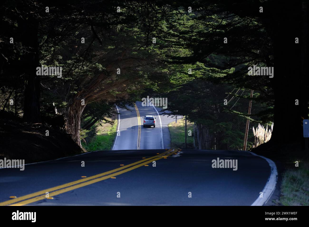 Vista panoramica della Route 1, Pacific Coast Highway, California, Stati Uniti. Foto Stock