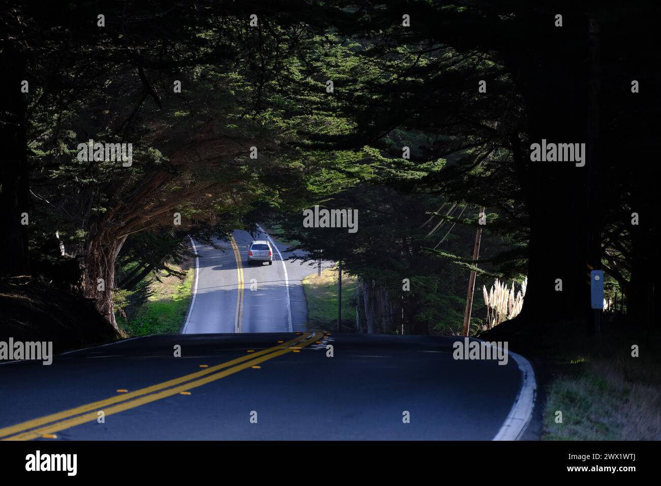 Vista panoramica della Route 1, Pacific Coast Highway, California, Stati Uniti. Foto Stock