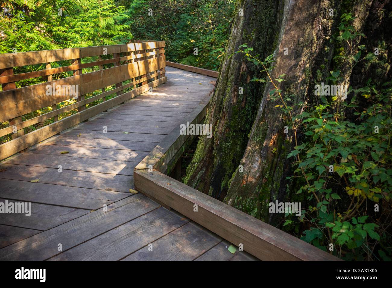 Il Memoriale di esclusione giapponese-americana di Bainbridge Island Foto Stock